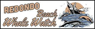 Redondo Beach Whale Watch
